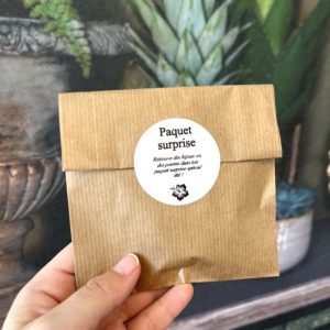 Pochette surprise